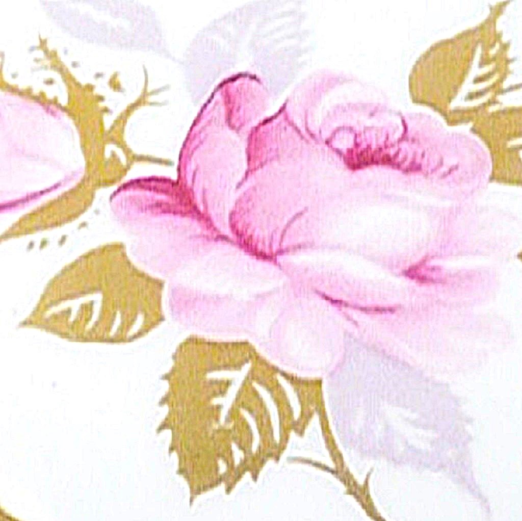 Pink Rose Enamel On Bone China